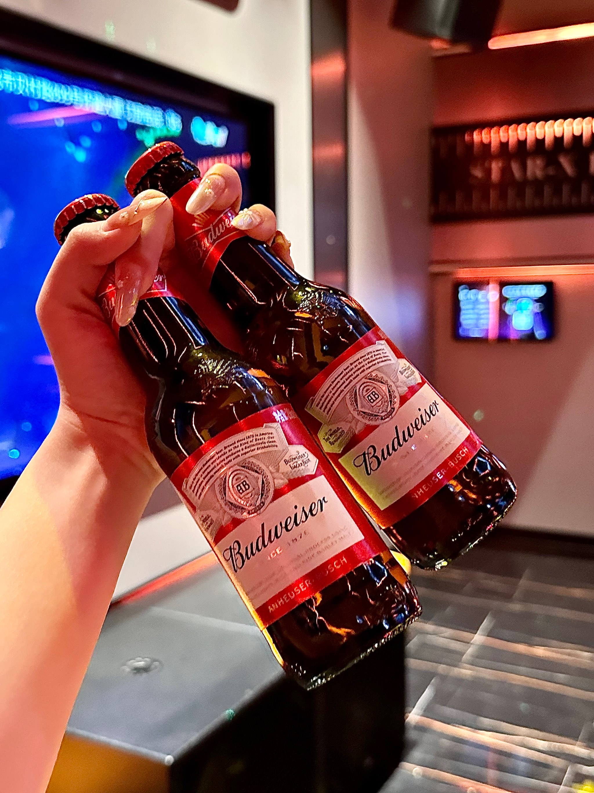 北京商务ktv中低端惊喜-丰台区ktv预定